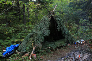 Build-a-Shelter